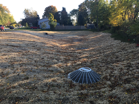 Washington Square Improvements photo 2